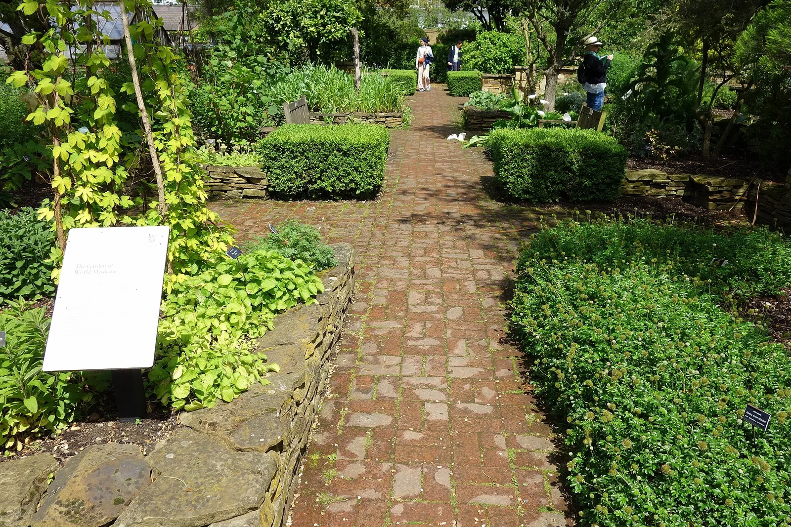Chelsea Physic Garden