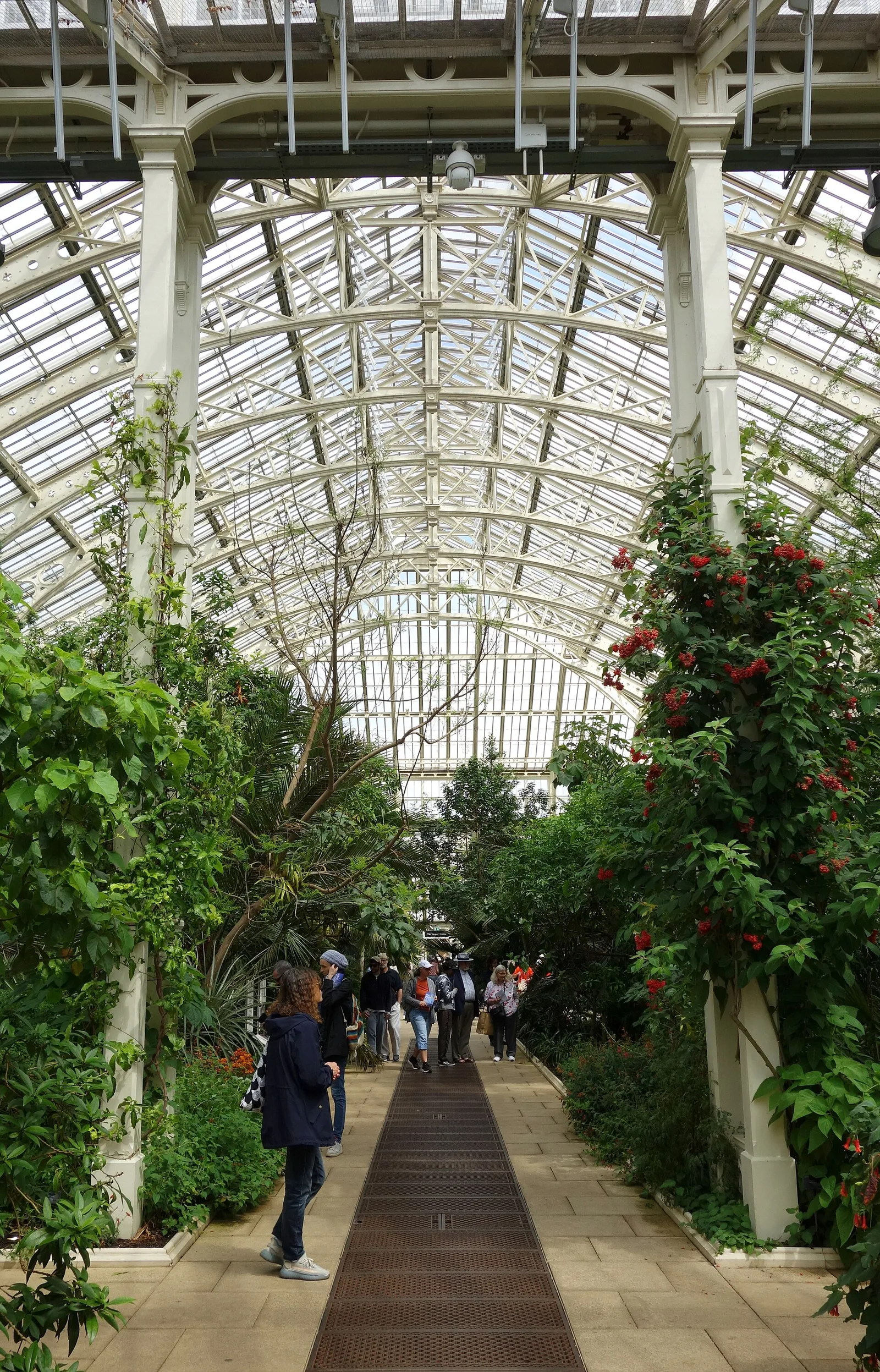 Temperate House at Kew Gardens