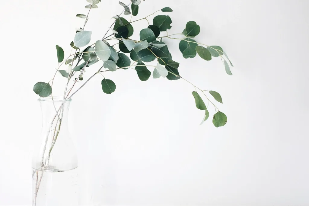 Sustainable weddings without the hair shirt