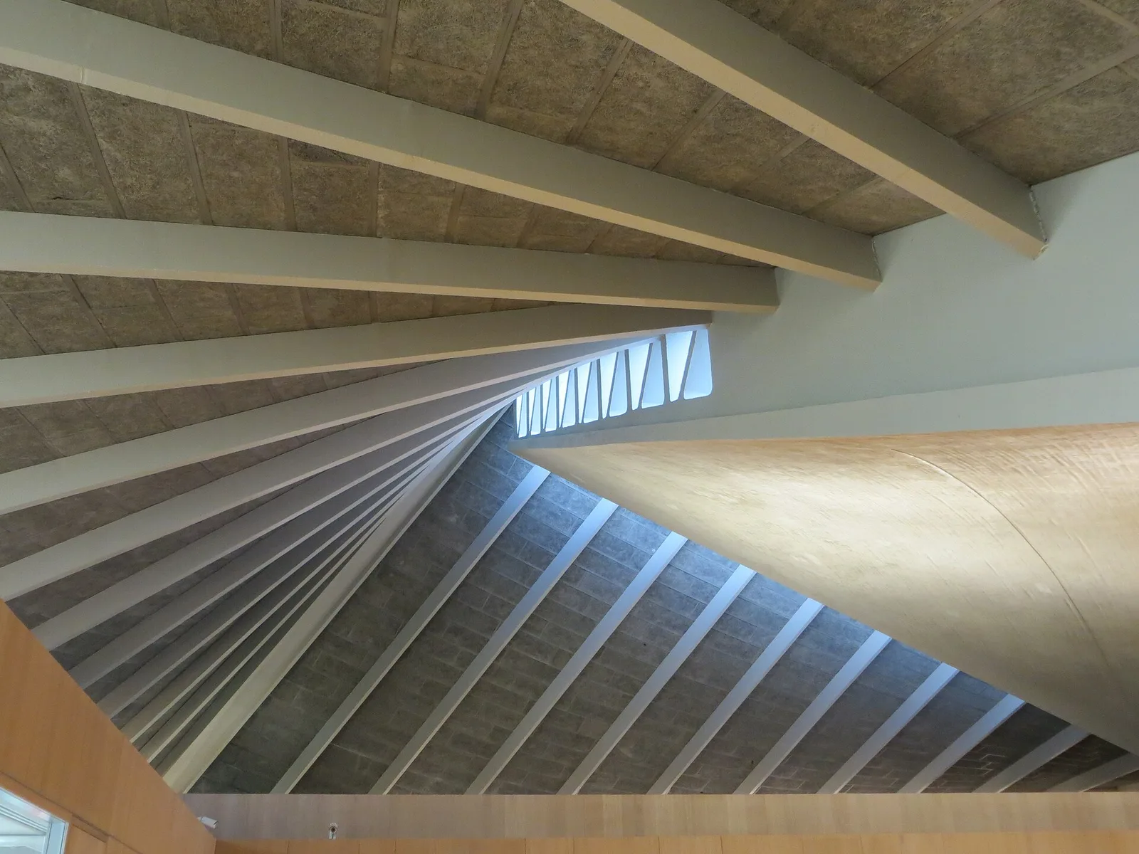 The Design Museum