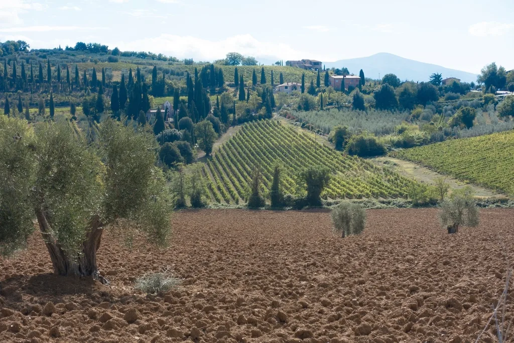 Virat and Anushka in Tuscany: the wedding that started the secrecy era