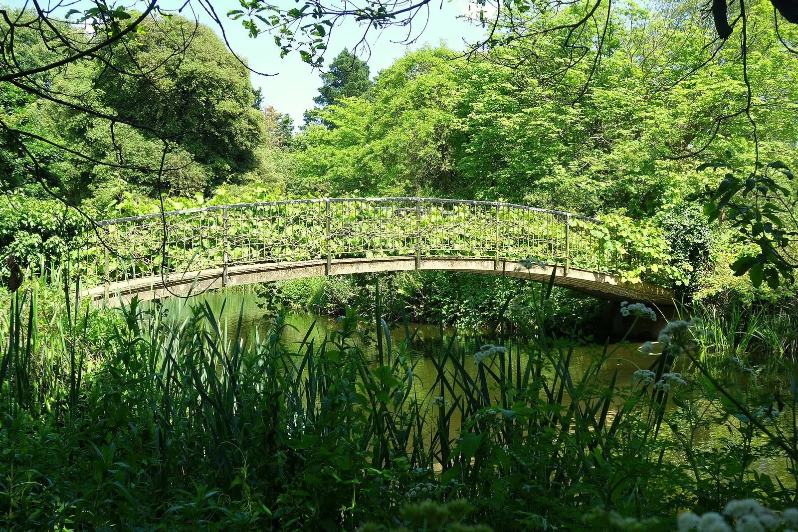 Syon Park